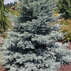 3 units available! Pre-Order Qty: 0