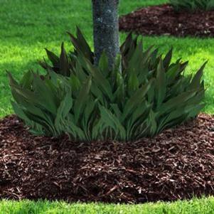 0 units available! Pre-Order Qty: 0