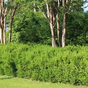 7691 units available! Pre-Order Qty: 0