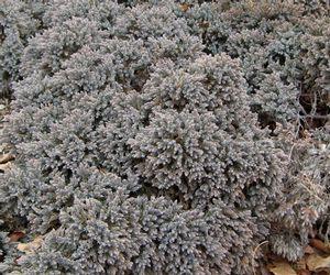 0 units available! Pre-Order Qty: 0